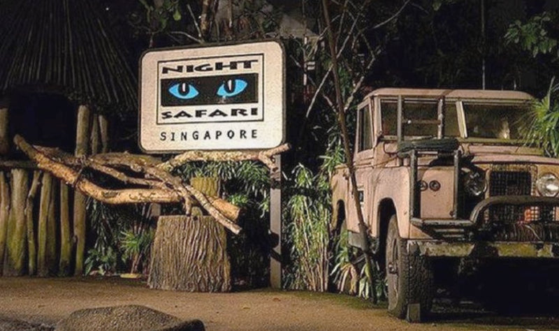 The Night Safari