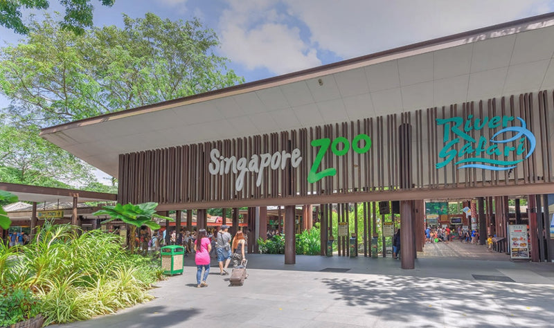Mandai Wildlife Parks: Singapore Zoo
